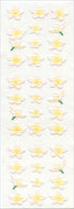 JB177 WASHI STICKERS PLUMERIA