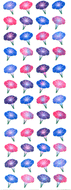 EA174 AURORA STICKERS MORNING GLORIES