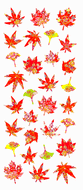 JP344 WASHI STICKERS  MOMIJI