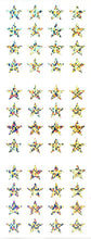 Load image into Gallery viewer, PMS305 STAR STICKERS SILVER
