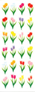 CR050 SPARKLIES TULIPS