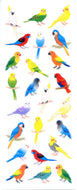 ZR215 SPARKLIES PARAKEETS